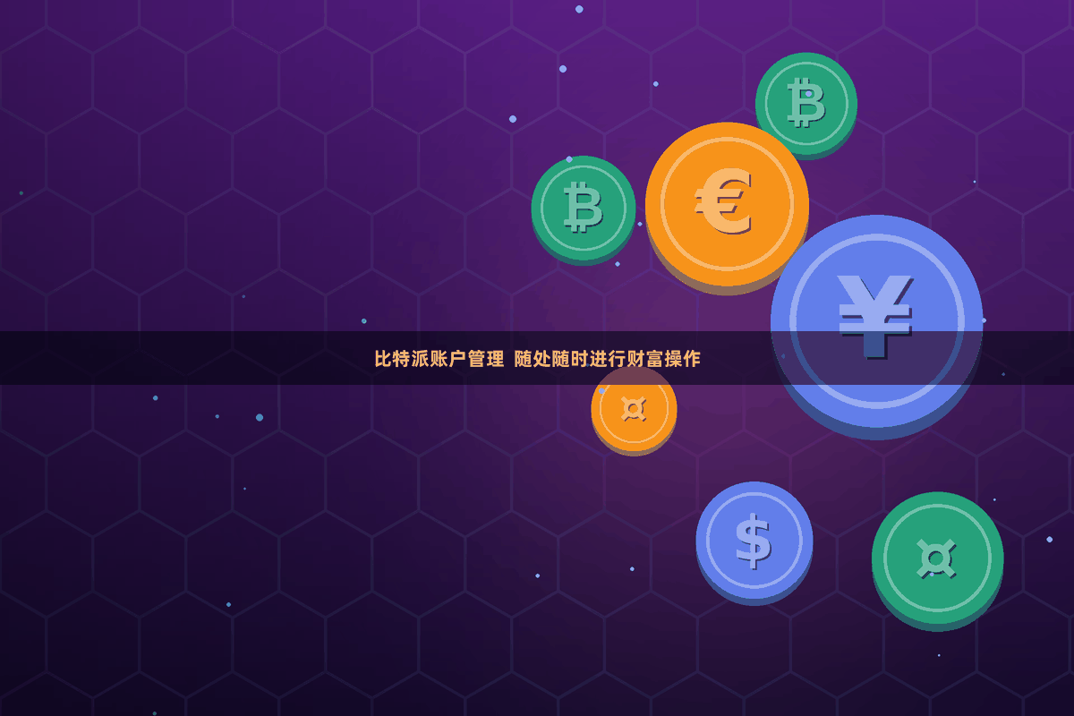 比特派账户管理  随处随时进行财富操作